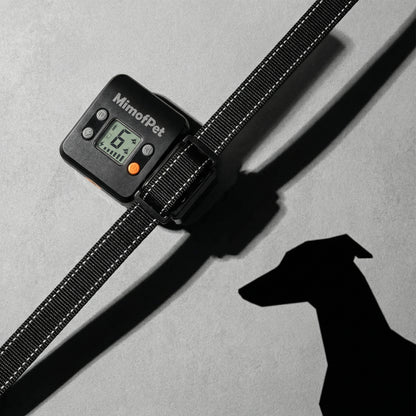 B1 Wireless Indoor Dog Barrier