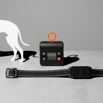 B1 Wireless Indoor Dog Barrier